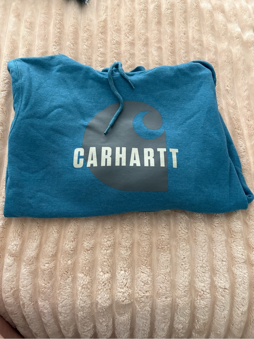 Carhartt Teal Hoodie